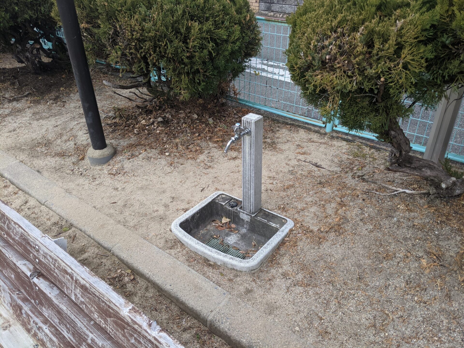 中州公園の写真6