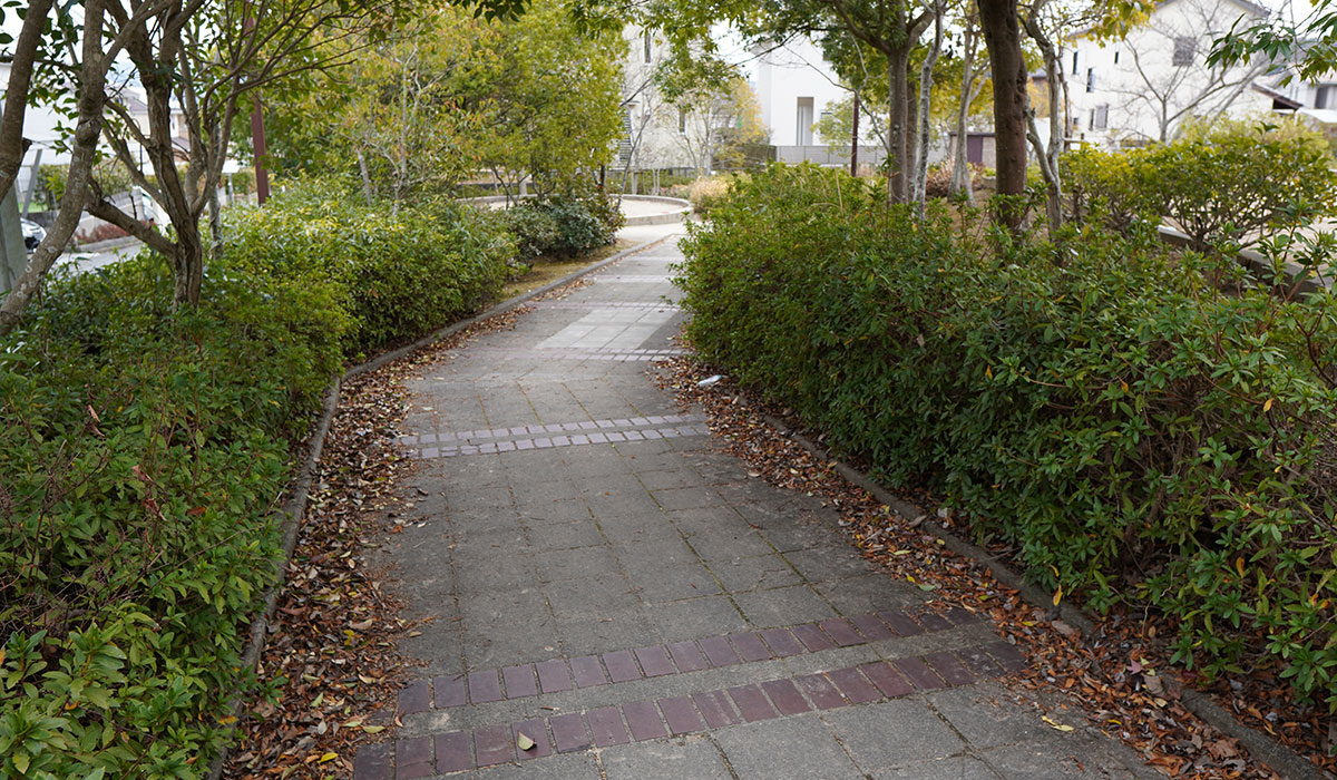 ハナノキ公園の写真6