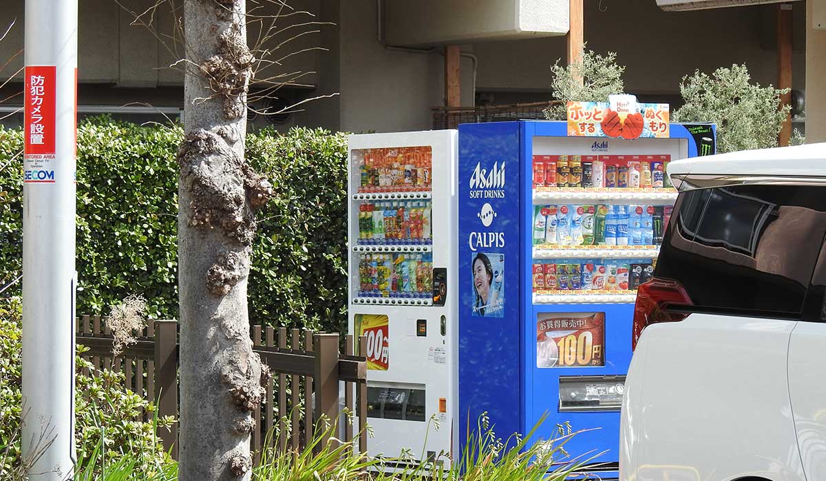 伊丹駅東広場の写真5