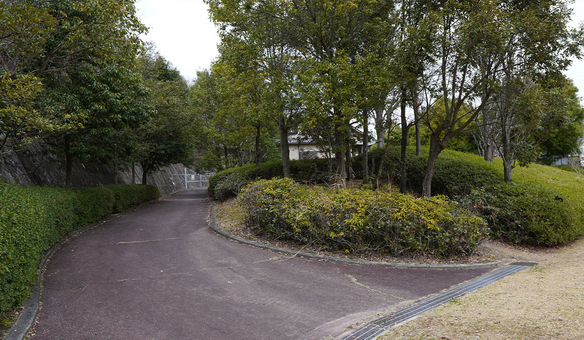 モクレン公園の写真6