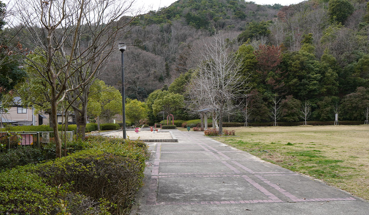 ムクゲ公園の写真6