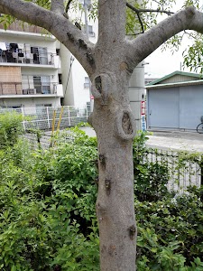 千僧越塚公園 place picture