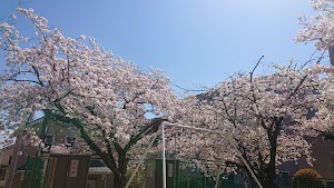 宝松公園 place picture