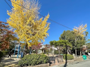 なでしこ公園 place picture