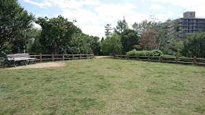 上の池公園 place picture