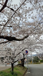 逆瀬川公園 place picture