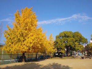 中之池公園 place picture