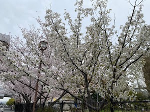 伊丹駅東広場 place picture