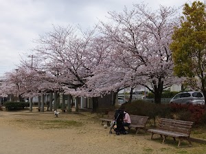 御所の前公園 place picture