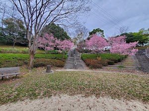 北ひばりが丘公園 place picture