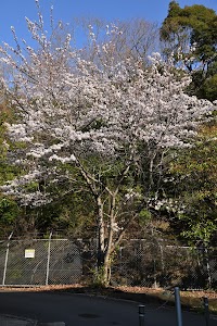 ヤマモモ公園 place picture