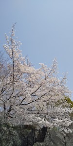 逆瀬台４丁目公園 place picture