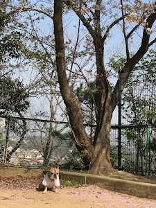 月見山第1公園 place picture