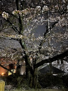 月見山第四公園 place picture