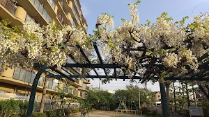 中筋公園 place picture