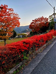 東山台西公園 place picture