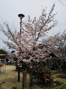 福井公園 place picture