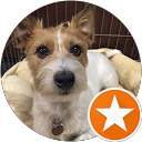 jijichisa profile picture