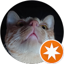 。たなち profile picture