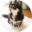 y purin profile picture