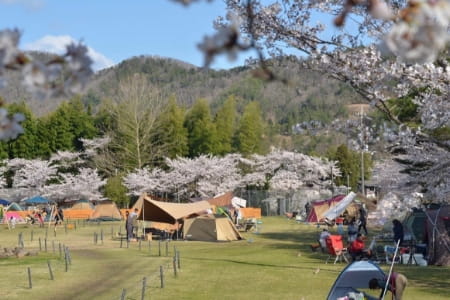 やまもりサーキット【丹波篠山市】