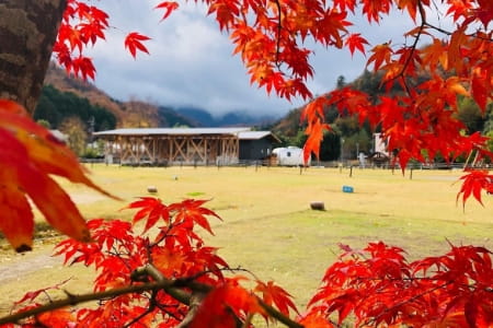 やまもりサーキットの写真2