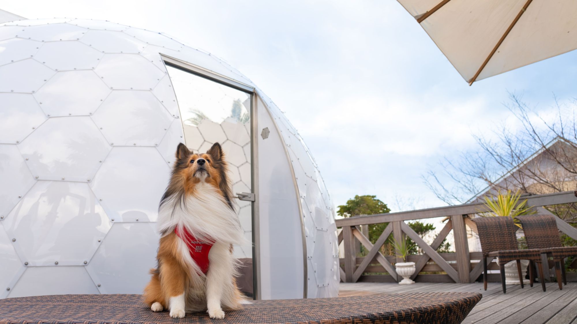 カリコリゾート淡路島の写真1