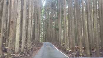 山崎アウトドアランドの写真5