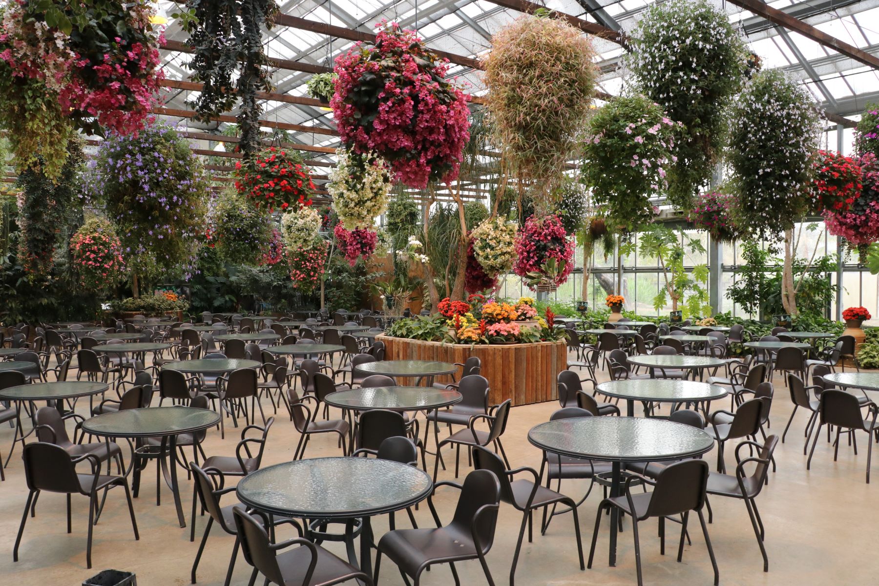 神戸どうぶつ王国の写真5