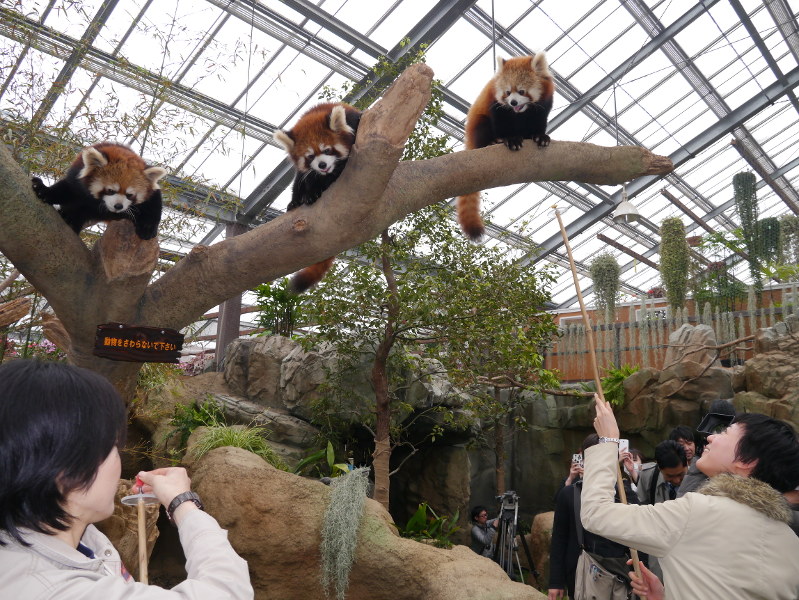 神戸どうぶつ王国の写真3