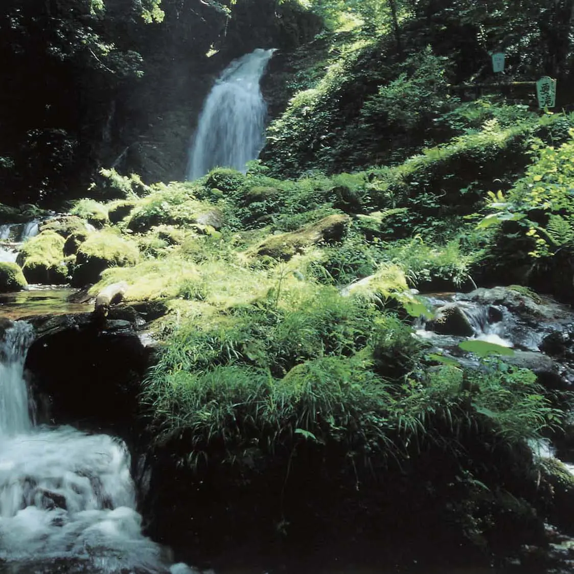 宙の森ホテル花郷里の写真4