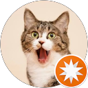 しもた! profile picture