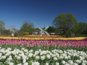兵庫県立フラワーセンター place picture