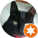 Yasu Ue profile picture
